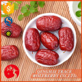 Organic chinese red dates,chinese red dried date/jujube